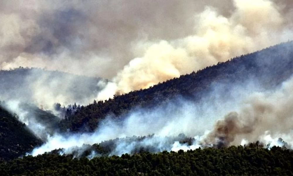 Πύρινη ''κόλαση'' σε όλα την χώρα: 72 δασικές πυρκαγιές το τελευταίο 24ωρο!